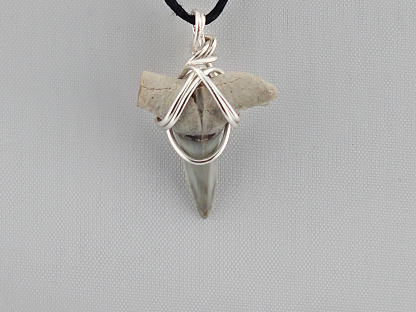 Lemon Shark Tooth ID#139