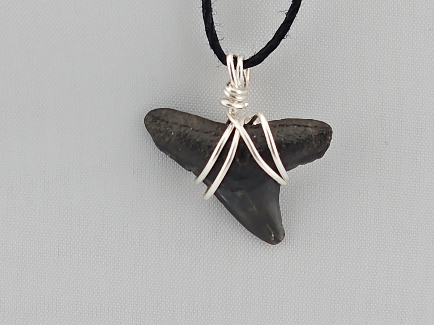 Bull Shark Tooth ID#140