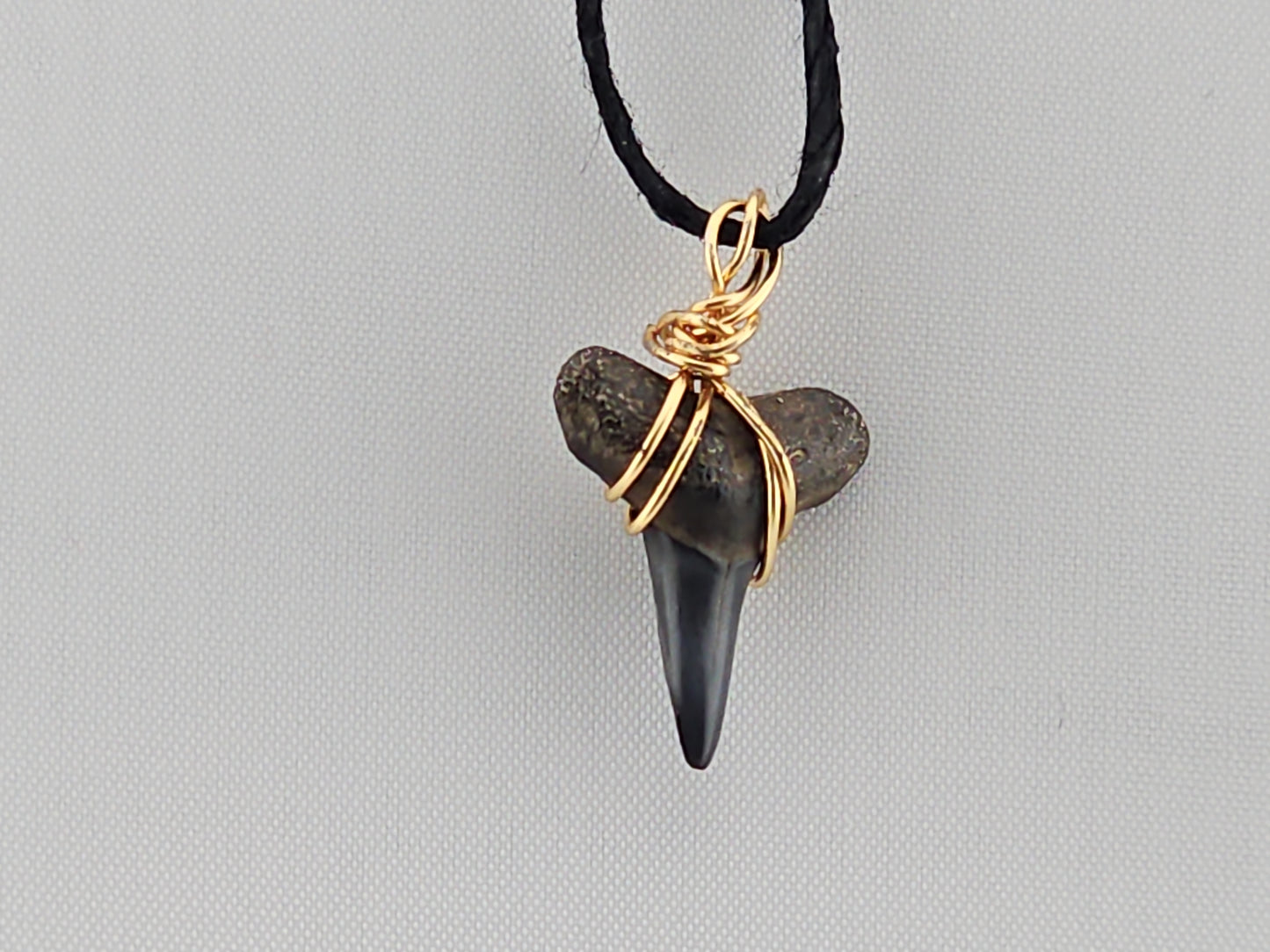 Lemon Shark Tooth ID#142