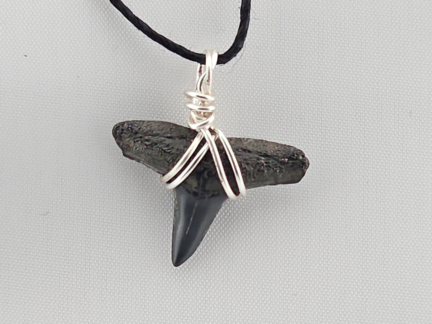 Lemon Shark Tooth ID#149