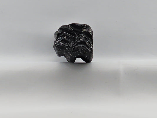 Three-toed Horse Tooth ID#70