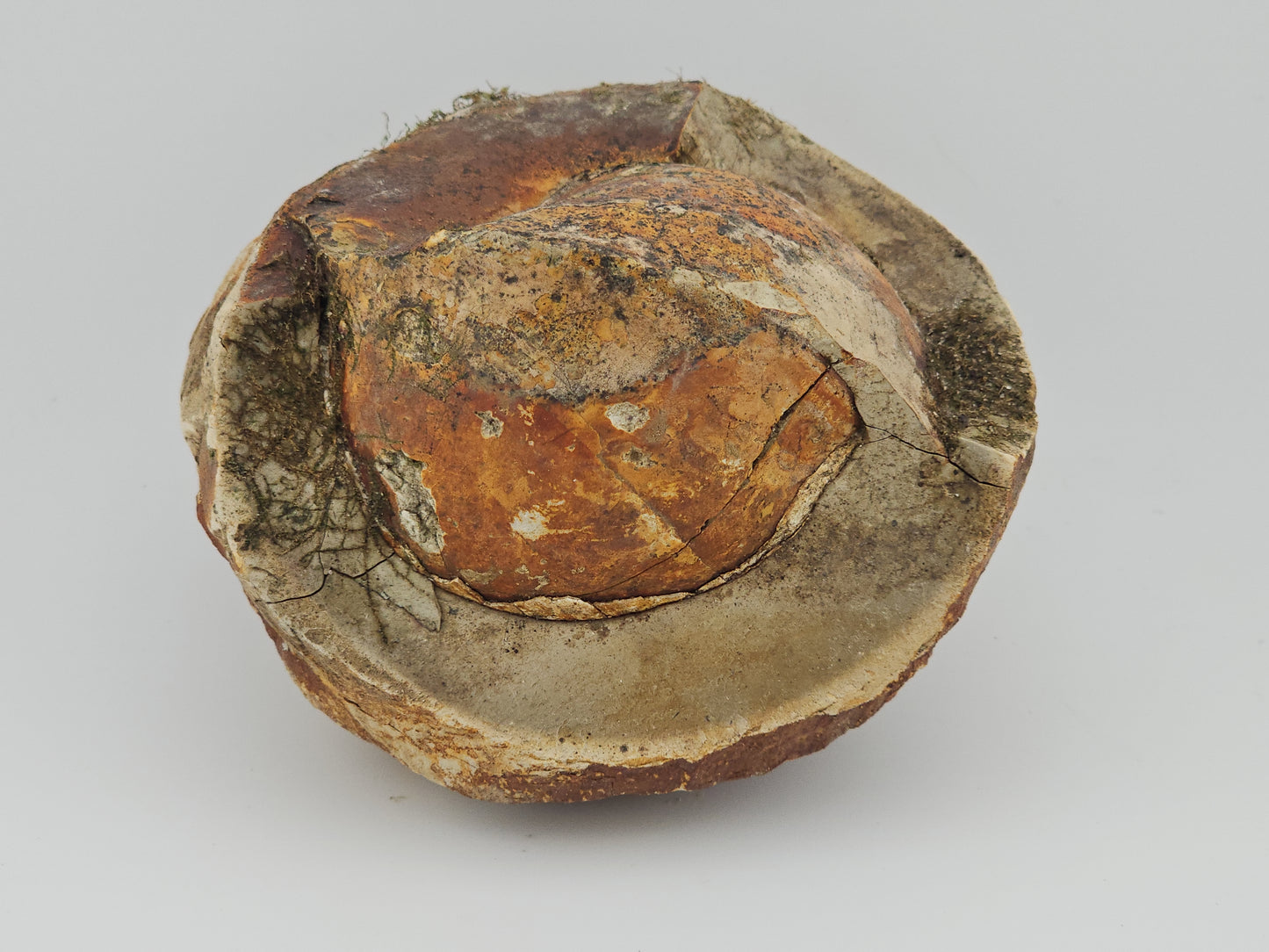 Clam Shell ID#125