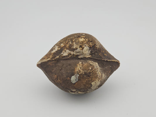Clam Shell ID#128