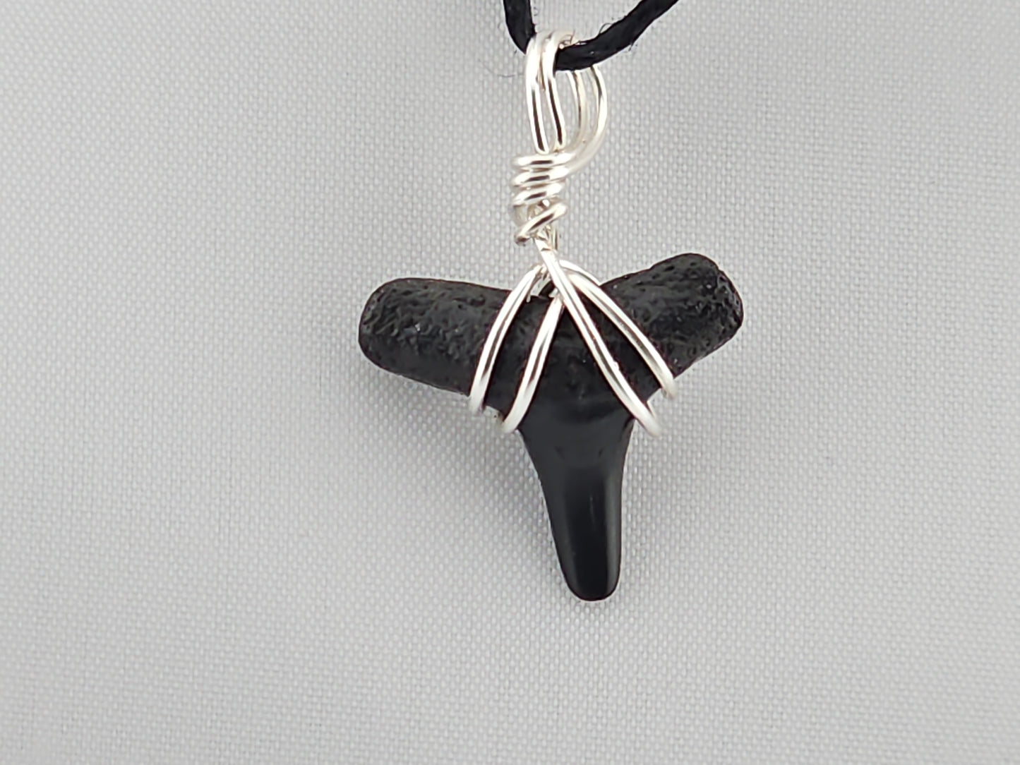 Lemon Shark Tooth ID#141