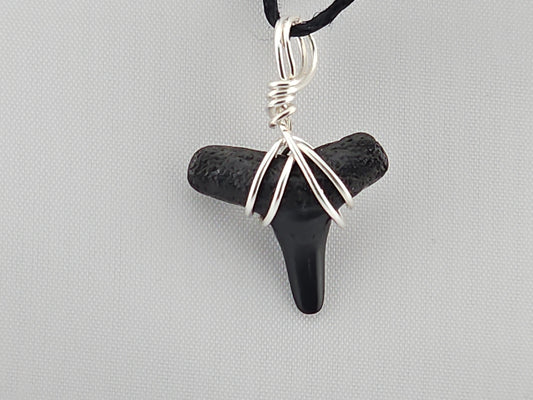 Lemon Shark Tooth ID#141