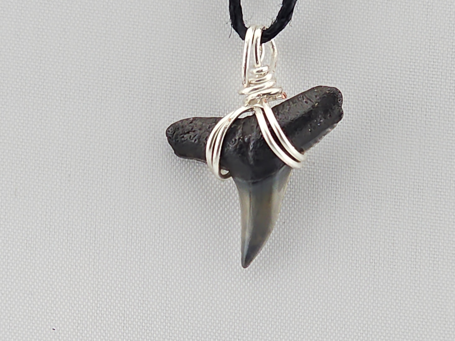 Lemon Shark Tooth ID#148