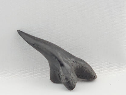 Snaggletooth Shark Bottom Front Tooth ID#2