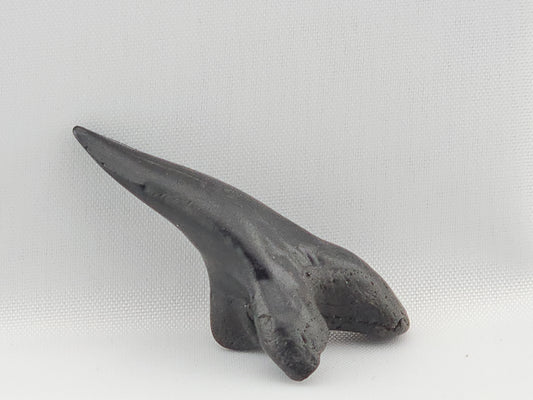 Snaggletooth Shark Bottom Front Tooth ID#2