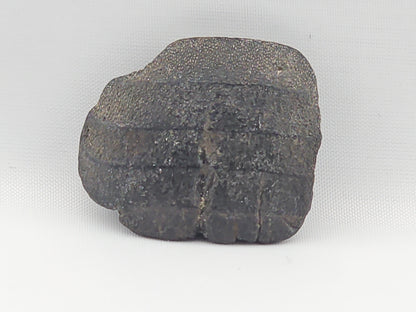 Ray Tooth Plate ID#75