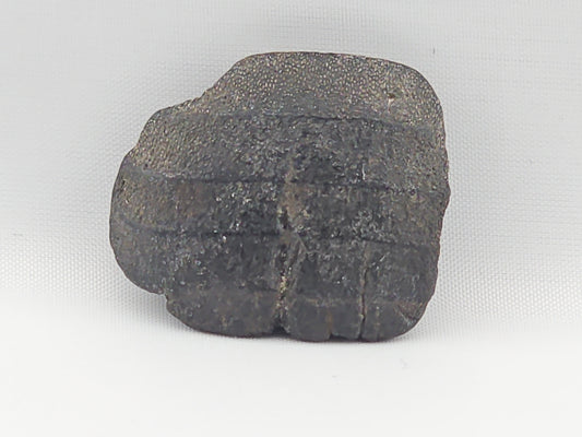 Ray Tooth Plate ID#75