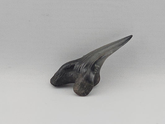 Snaggletooth Shark Bottom Front Tooth ID#83